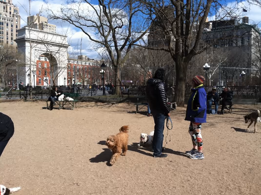 Washington Park Dog Run